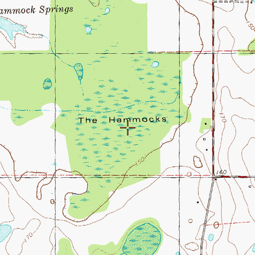 Topographic Map of The Hammocks, GA
