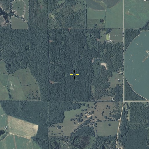 Aerial/Satellite Image of The Hammocks, GA