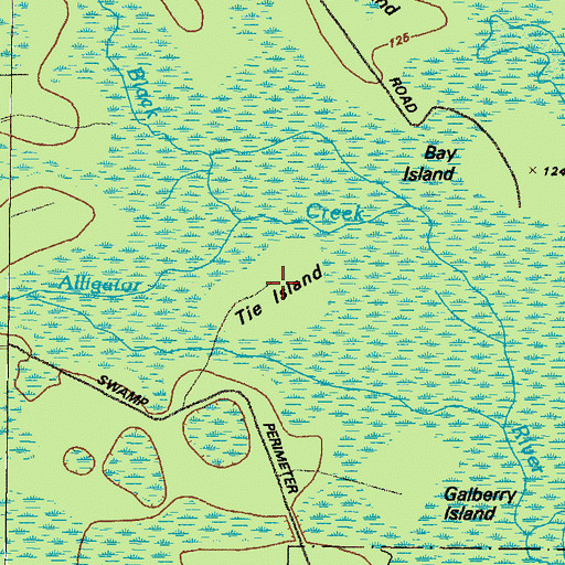 Topographic Map of The Island, GA