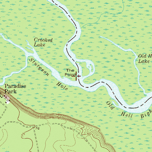 Topographic Map of The Point, GA