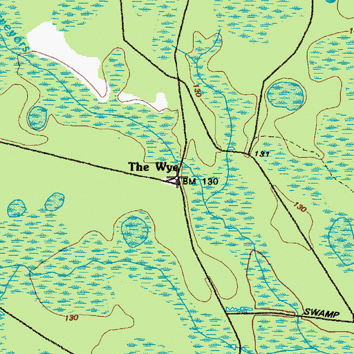 Topographic Map of The Wye, GA