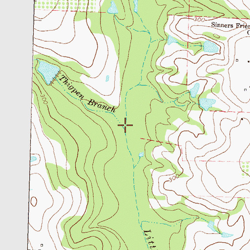 Topographic Map of Thigpen Branch, GA