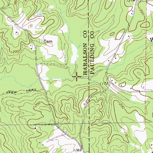 Topographic Map of Thomasson Creek, GA