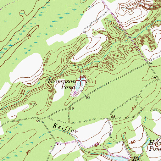 Topographic Map of Thompson Pond, GA