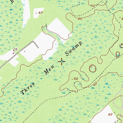 Topographic Map of Three Men Swamp, GA