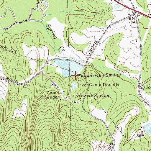 Topographic Map of Thundering Spring, GA