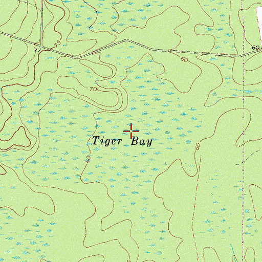 Topographic Map of Tiger Bay, GA