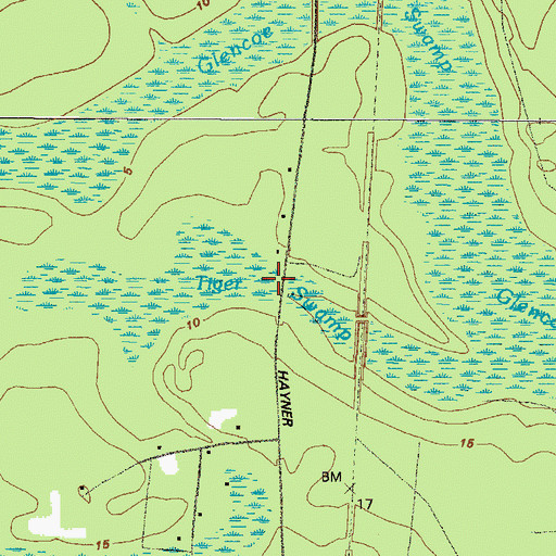 Topographic Map of Tiger Swamp, GA