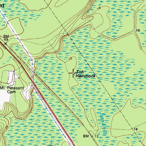 Topographic Map of Tob Hammock, GA