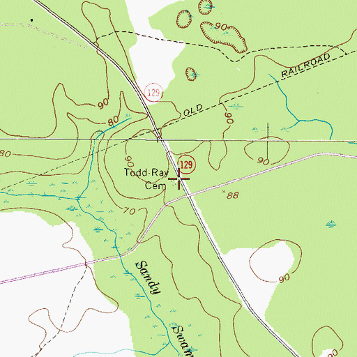 Topographic Map of Todd-Ray Cemetery, GA