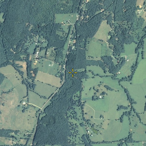 Aerial/Satellite Image of Trickum Branch, GA