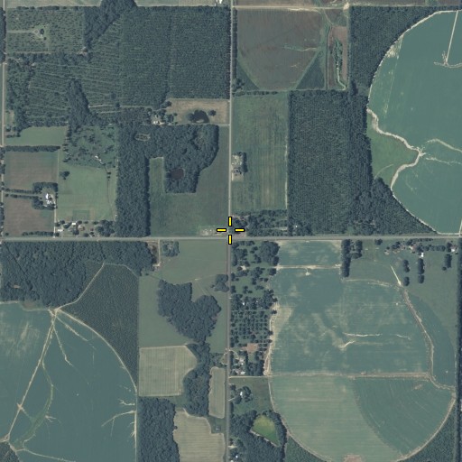 Aerial/Satellite Image of Trinity Church, GA