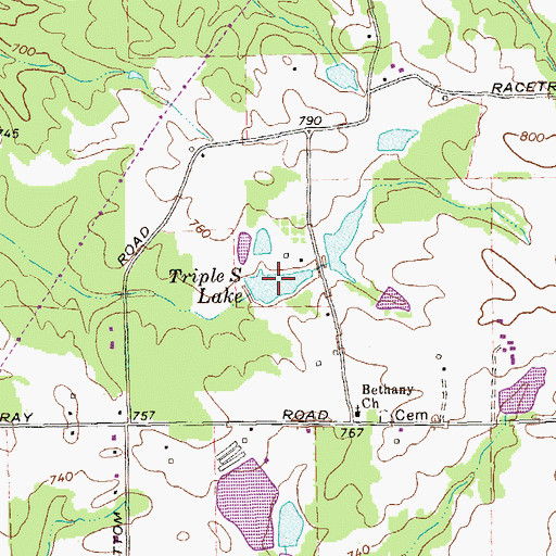 Topographic Map of Triple S Lake, GA
