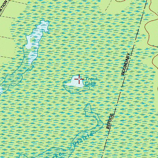 Topographic Map of Trout Lake, GA