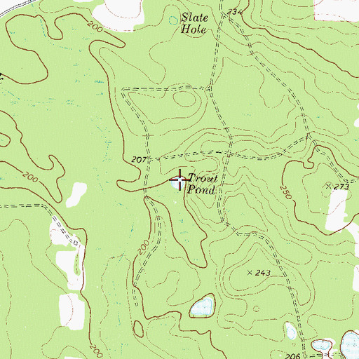 Topographic Map of Trout Pond, GA