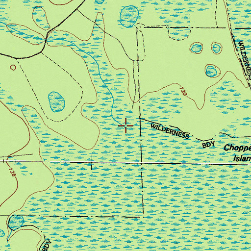 Topographic Map of Turkey Branch, GA