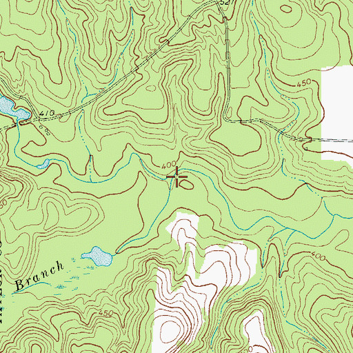 Topographic Map of Turkey Branch, GA
