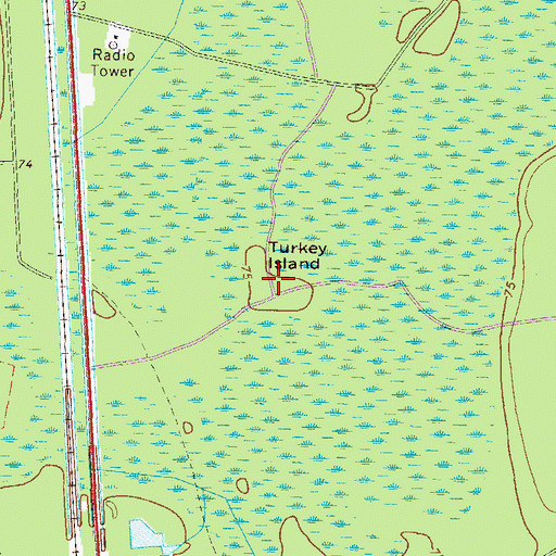 Topographic Map of Turkey Island, GA