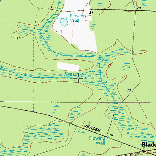 Topographic Map of Turkey Swamp, GA