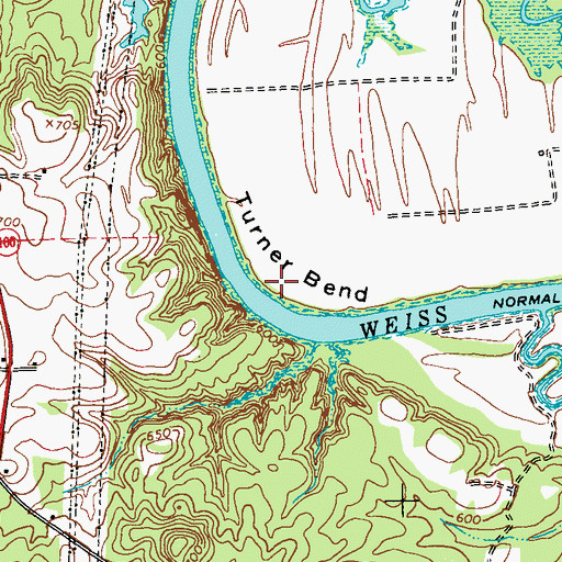 Topographic Map of Turner Bend, GA