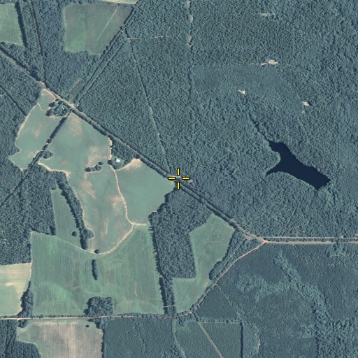 Aerial/Satellite Image of Turner Chapel, GA