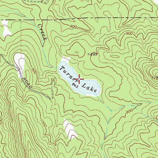 Topographic Map of Turner Lake, GA