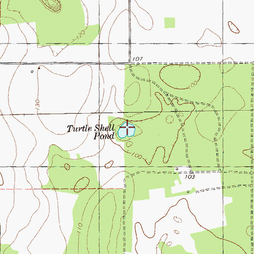 Topographic Map of Turtle Shell Pond, GA