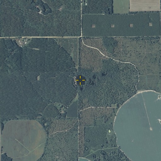 Aerial/Satellite Image of Turtle Shell Pond, GA