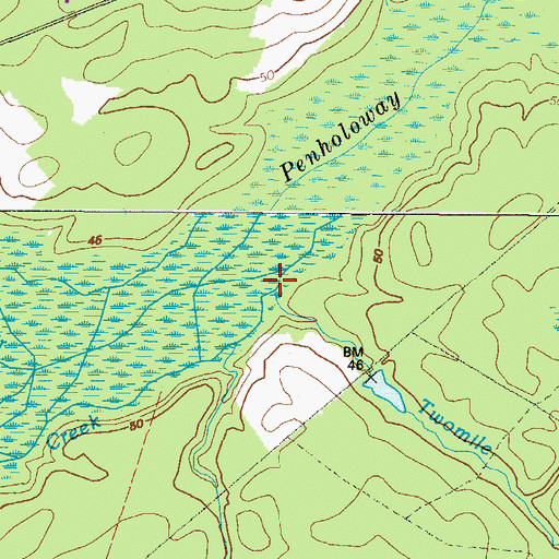 Topographic Map of Twomile Branch, GA