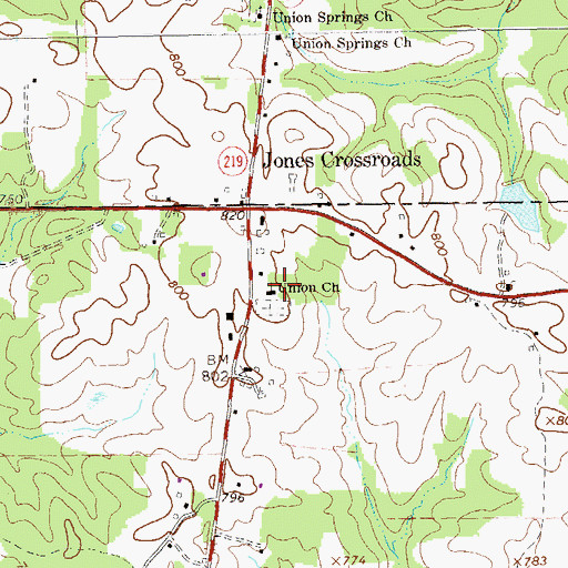 Topographic Map of Union Church, GA