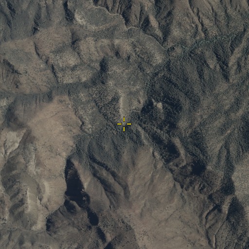 Aerial/Satellite Image of Oak Spring, AZ