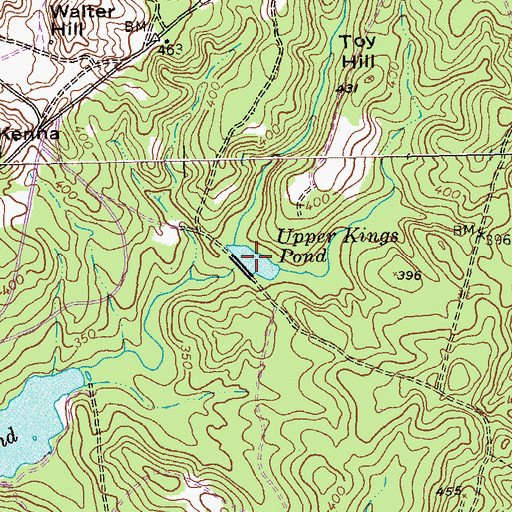 Topographic Map of Upper Kings Pond, GA