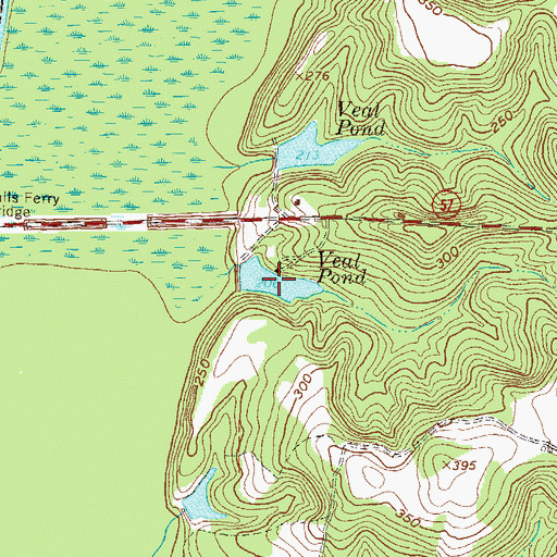 Topographic Map of Veal Pond, GA