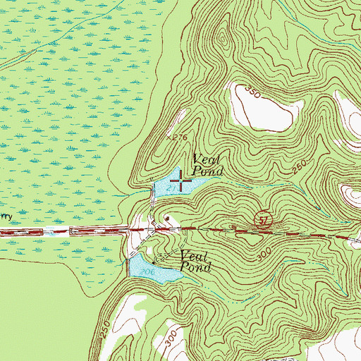 Topographic Map of Veal Pond, GA