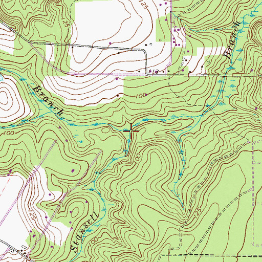 Topographic Map of Vickers Branch, GA