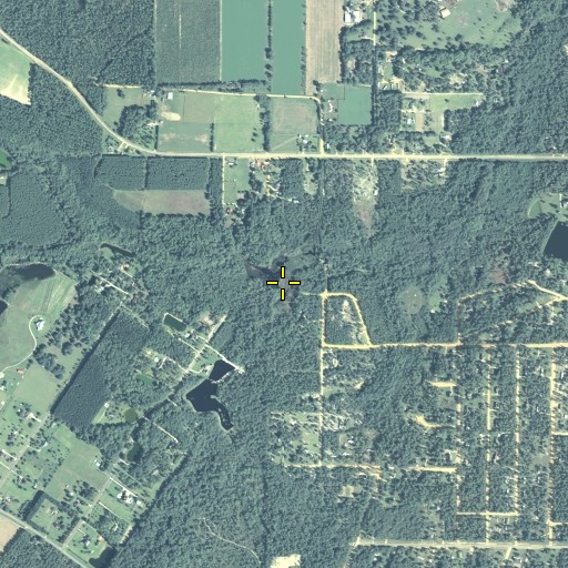 Aerial/Satellite Image of Vickers Branch, GA