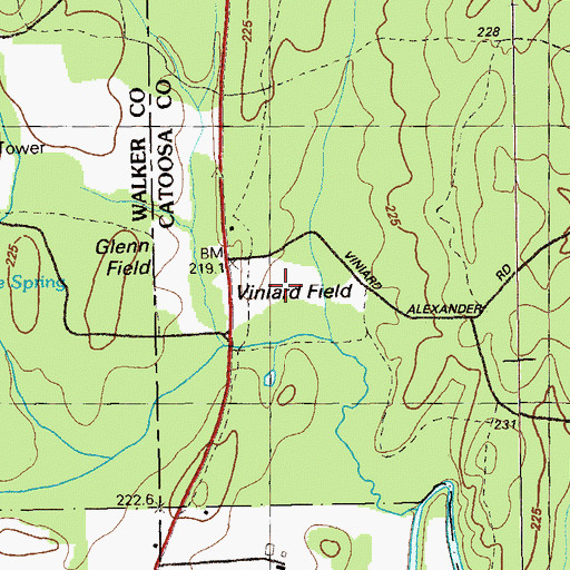 Topographic Map of Viniard Field, GA