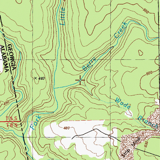 Topographic Map of Wade Branch, GA