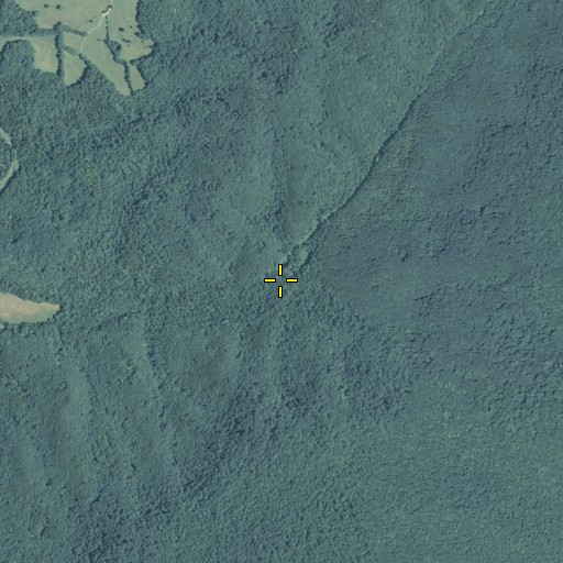 Aerial/Satellite Image of Walden Branch, GA