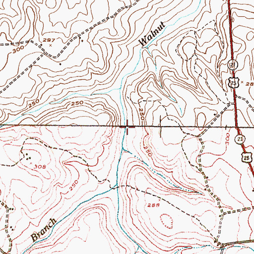 Topographic Map of Walnut Branch, GA