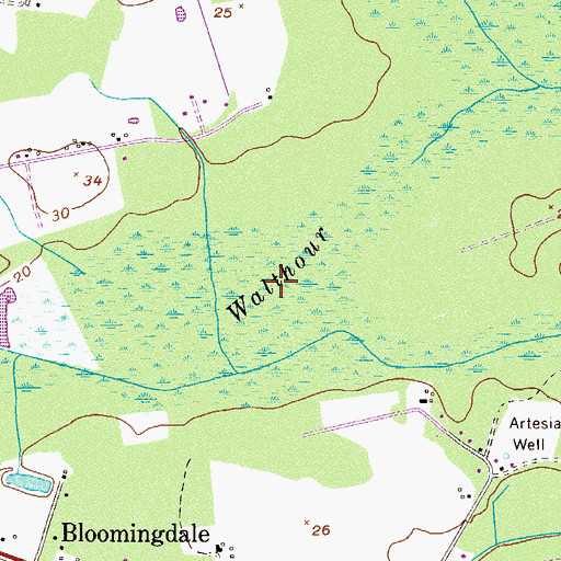 Topographic Map of Walthour Swamp, GA