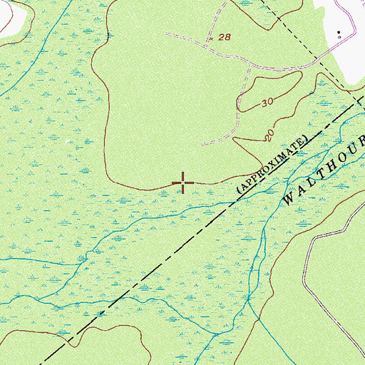 Topographic Map of Walthour Swamp, GA