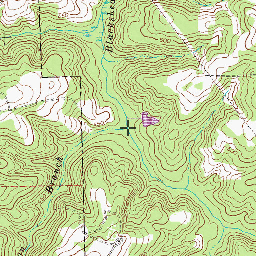 Topographic Map of Walton Branch, GA