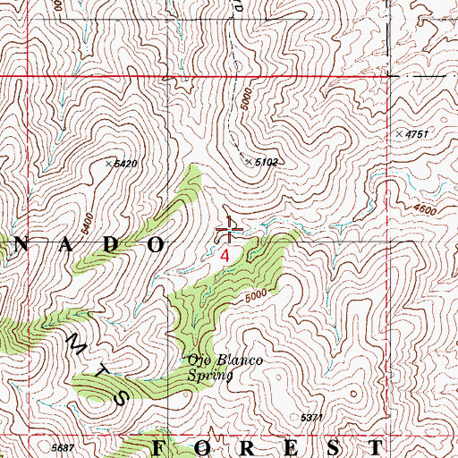Topographic Map of Ojo Blanco Spring, AZ