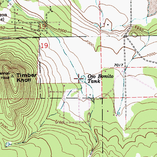 Topographic Map of Ojo Bonito Tank, AZ