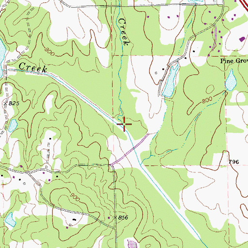 Topographic Map of Wasp Creek, GA