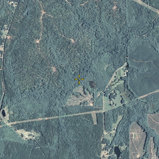 Aerial/Satellite Image of Watson Branch, GA