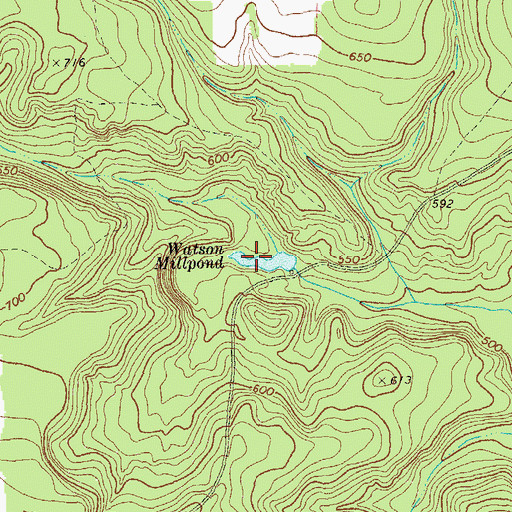 Topographic Map of Watson Millpond, GA