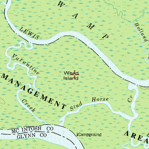 Topographic Map of Weed Island, GA