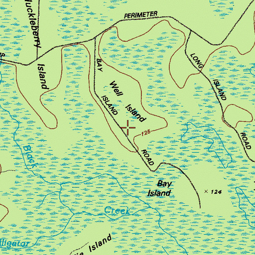 Topographic Map of Well Island, GA